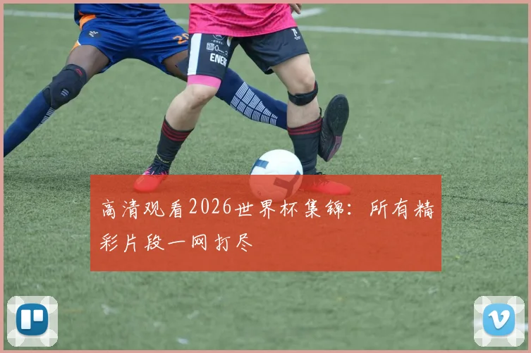 高清观看2026世界杯集锦：所有精彩片段一网打尽